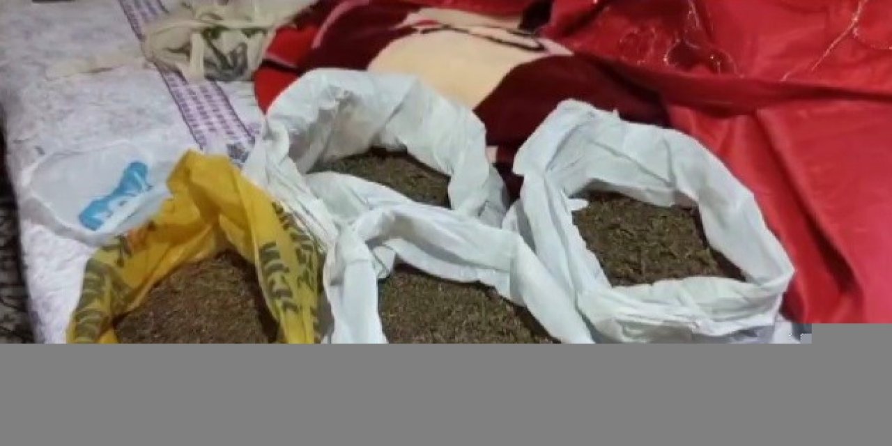 İzmir’de jandarmadan 9 adrese uyuşturucu baskını
