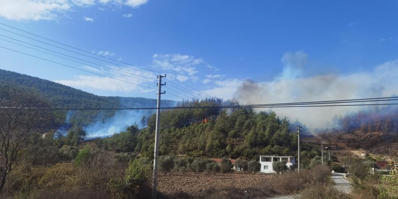 Yatağan’da orman yangını