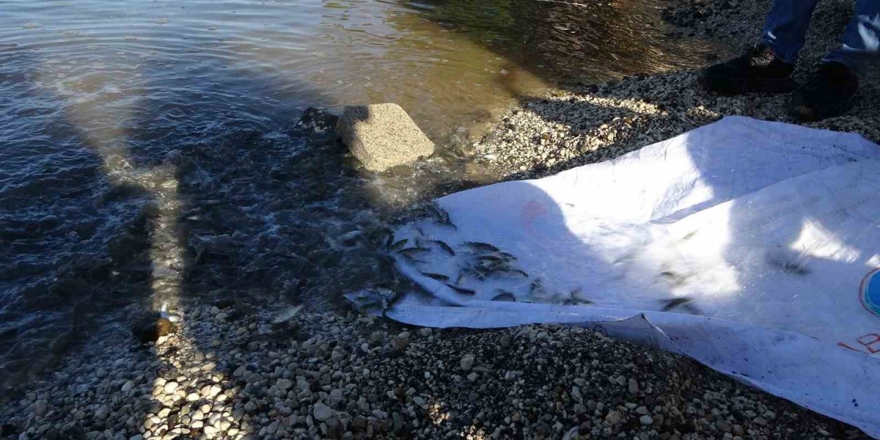 Fethiye’de deniz dibi ve sahil temizliği yapıldı