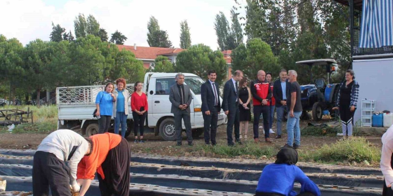 Köyceğiz’de öğrenciler tarımsal üretime devam ediyor