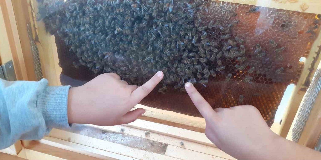 Kırkağaçlı öğrenciler arıların dünyasını keşfetti