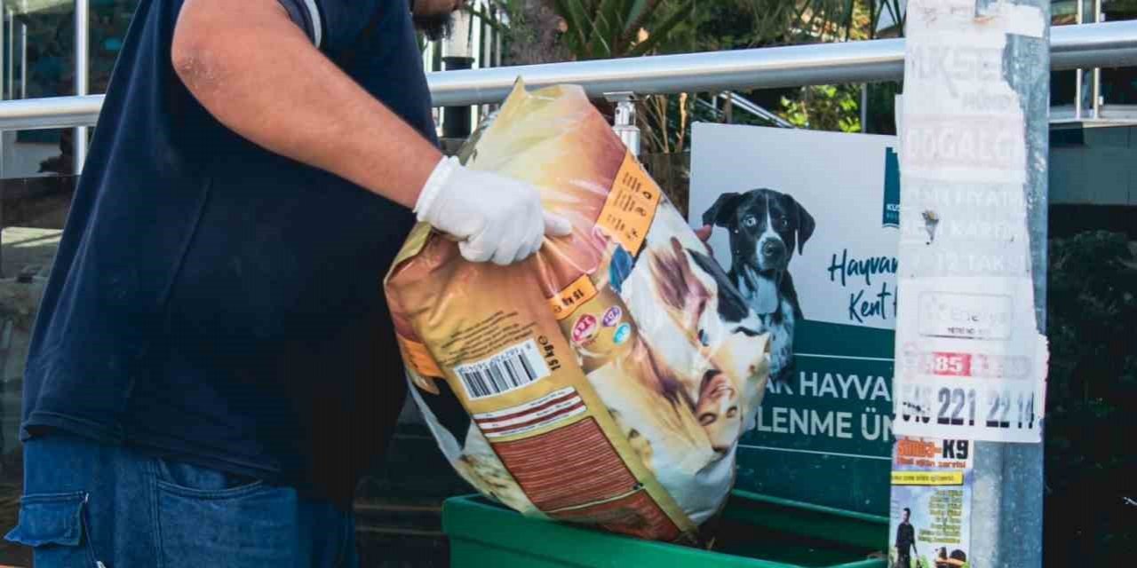 Kuşadası’nda sokak hayvanları unutulmuyor
