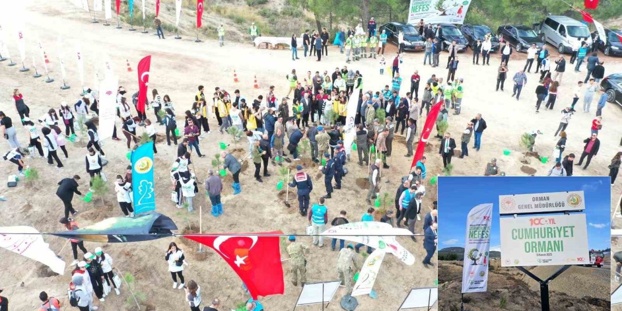 Denizli’de 52 ayrı 100. Yıl Cumhuriyet Ormanı’nda 49 bin adet fidan toprakla buluştu