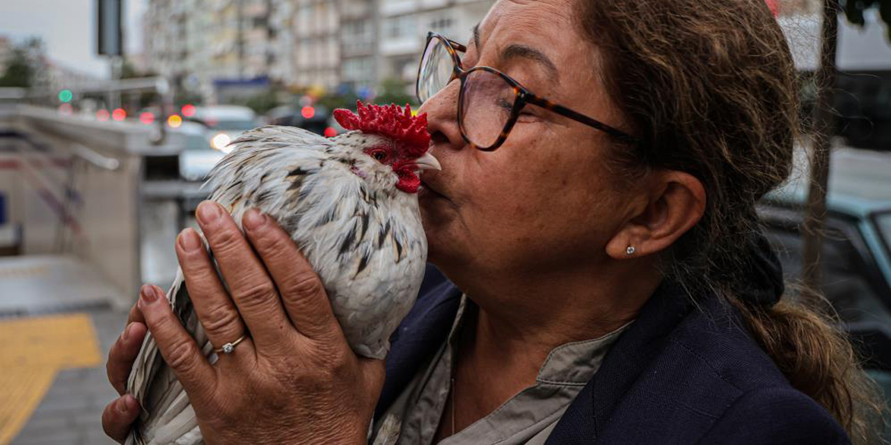 ’Horoz Bıdık’ ile karış karış geziyor