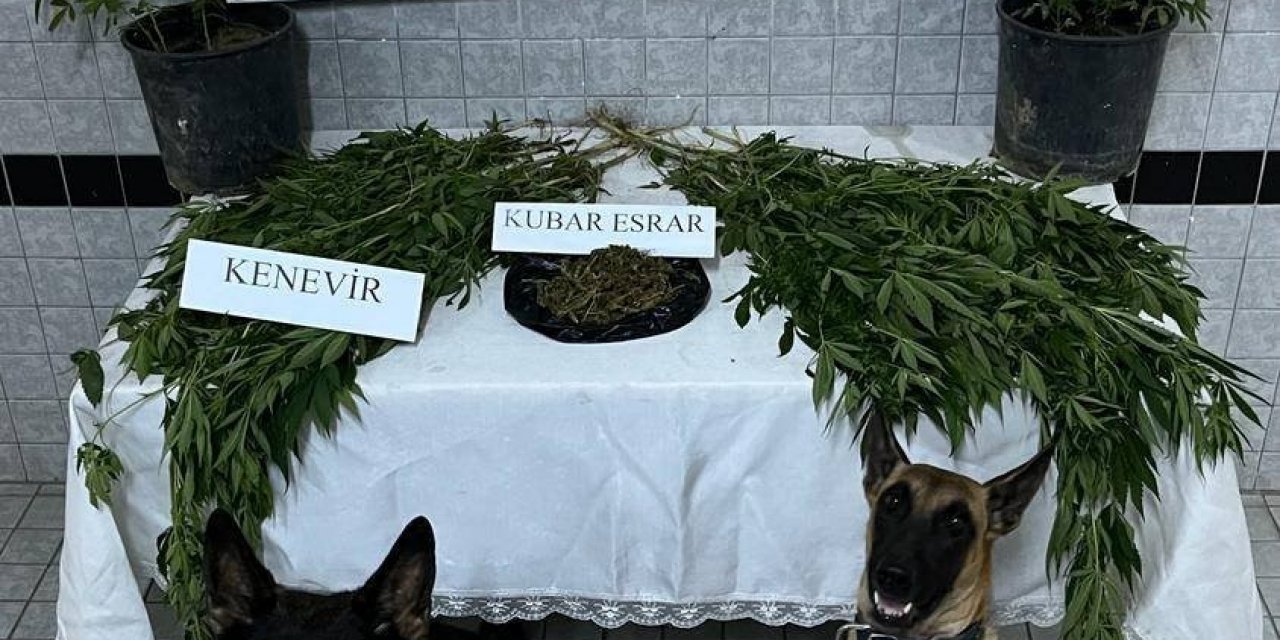 Buharkent’te uyuşturucu operasyonu: 1 gözaltı