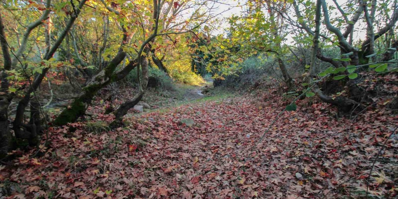 Gördes’te sonbahar manzarası mest etti