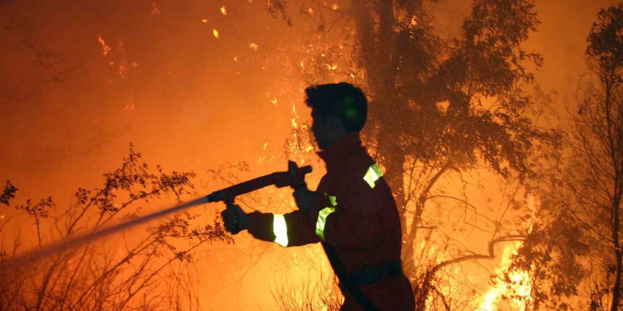 Muğla ve Aydın’da 502 yangında 819 hektar alan yandı