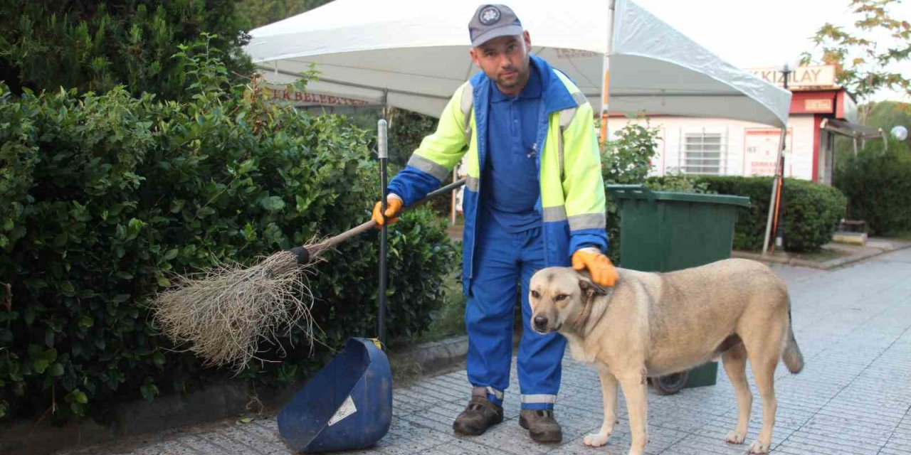 Her gün birlikte mesai yapıp, birlikte dinleniyorlar