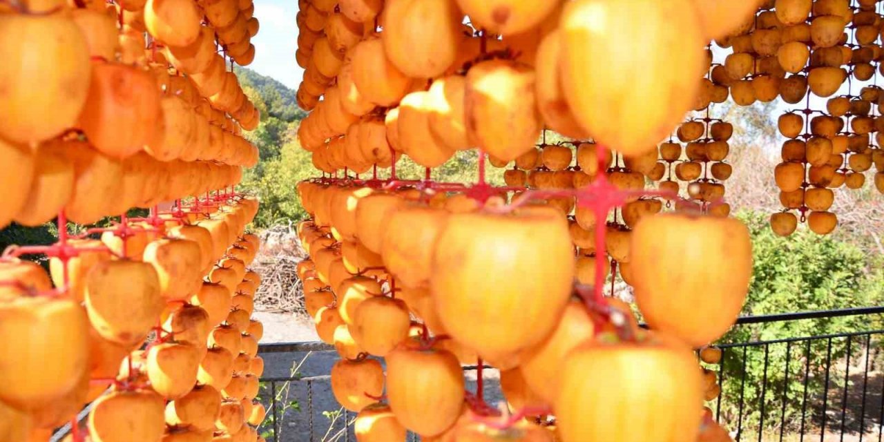 Kurutulunca değeri 10 kat artıyor