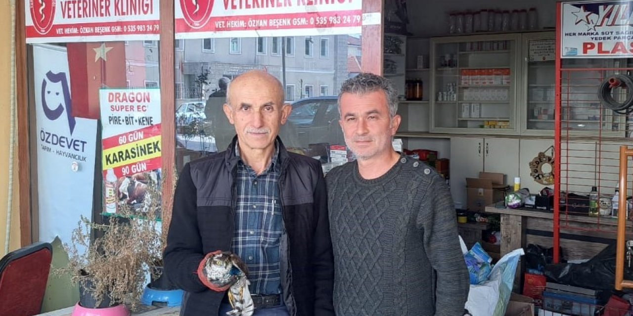Yaralı bulduğu şahini tedavi ettirdi