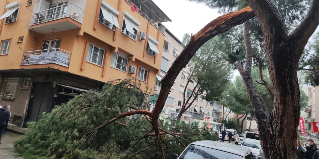 Kopan ağaç dalı seyir halindeki otomobilin üzerine düştü