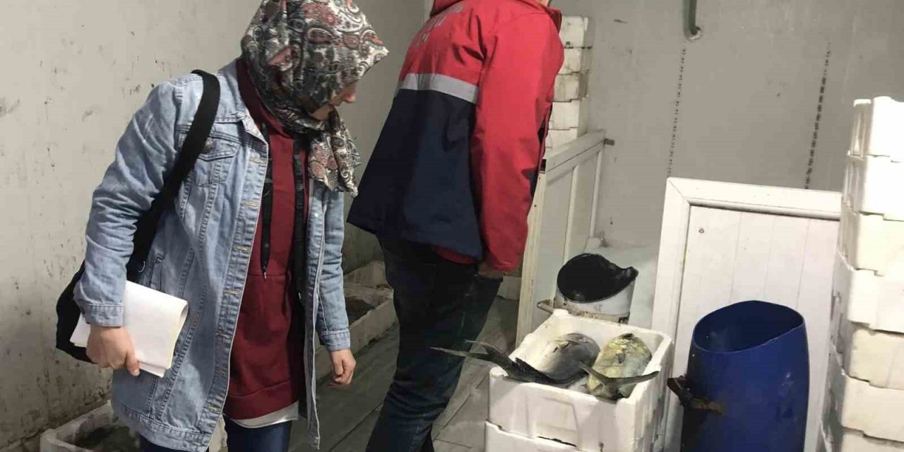 Didim’de eş zamanlı denetim