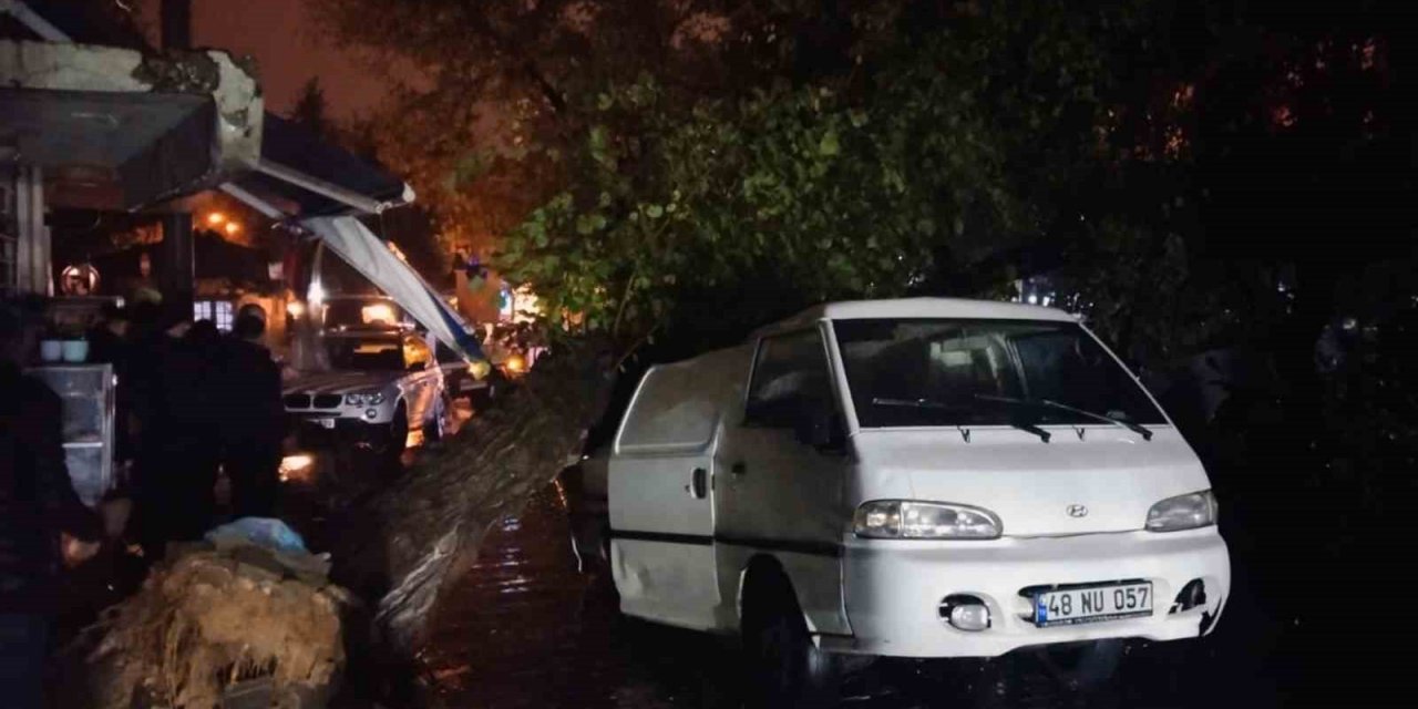 Üzerine ağaç düşen aracın sürücüsü yara almadan kurtuldu