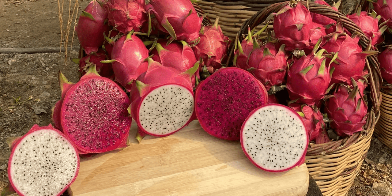 Ejder Meyvesi: Çok Özel Lezzetlere Ayrıcalıklı Ödeme Fırsatlarıyla Ulaşın