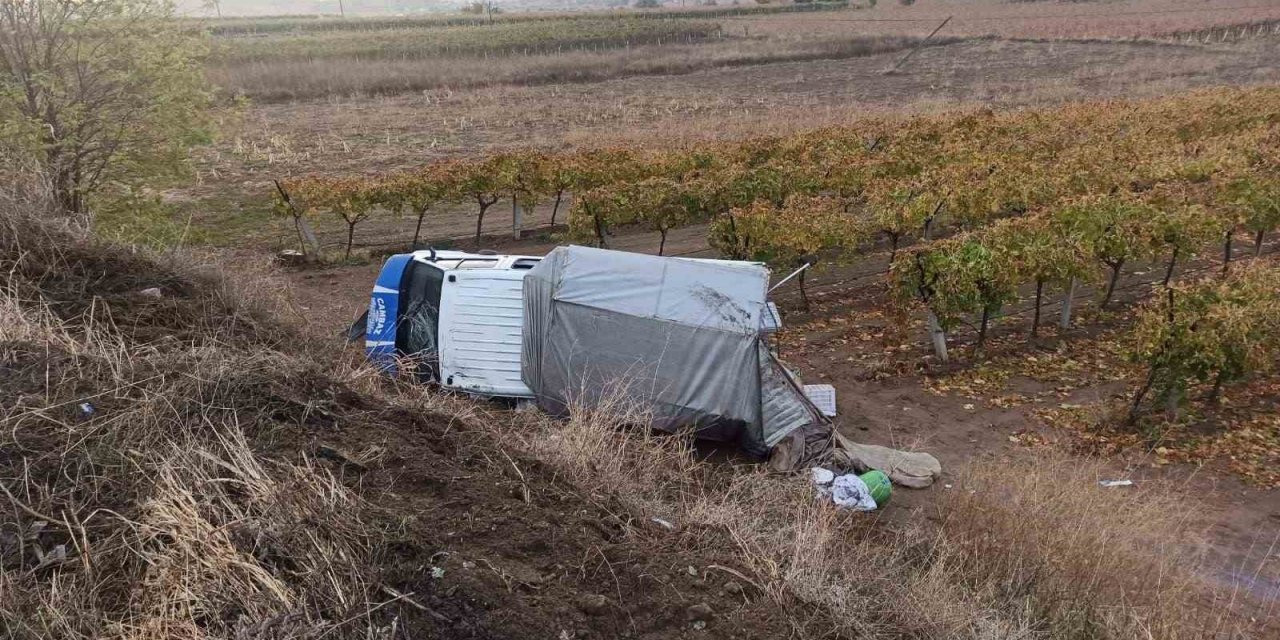 Kontrolden çıkan kamyonet üzüm bağına devrildi: 5 yaralı