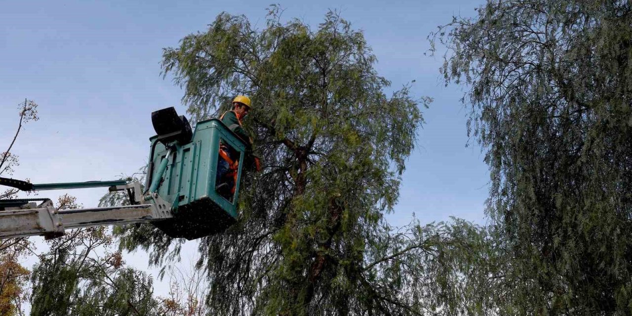 Kuşadası’nda ağaç atıkları yakıta dönüşüyor