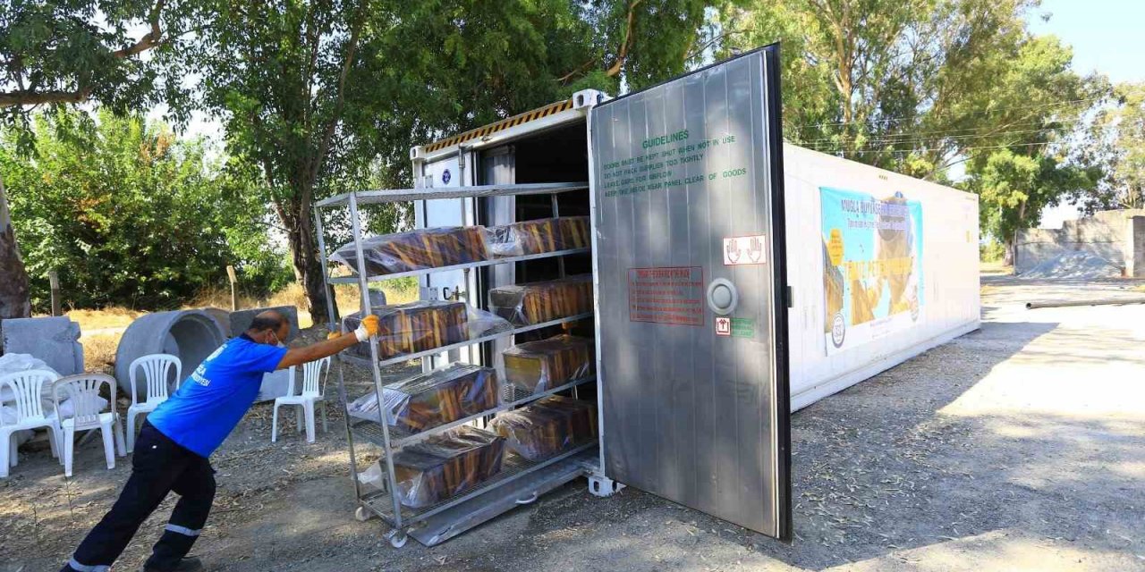 202 Bin petek şokladı