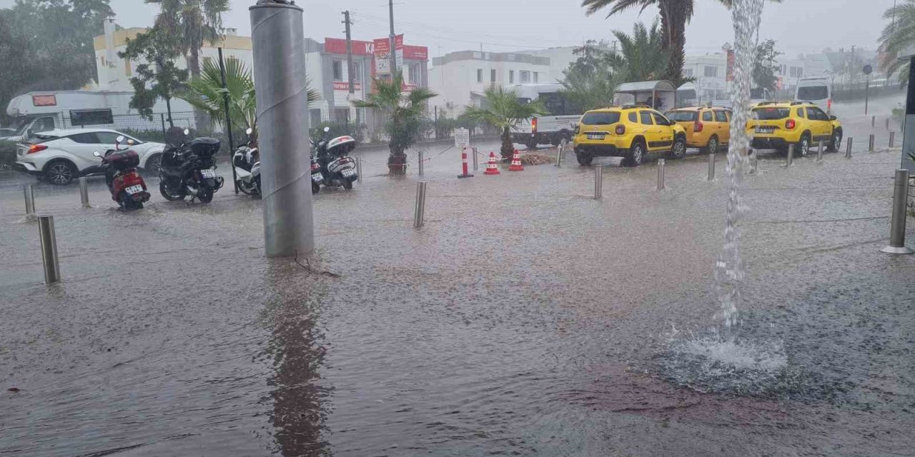 Bodrum’da Kasım bereketi