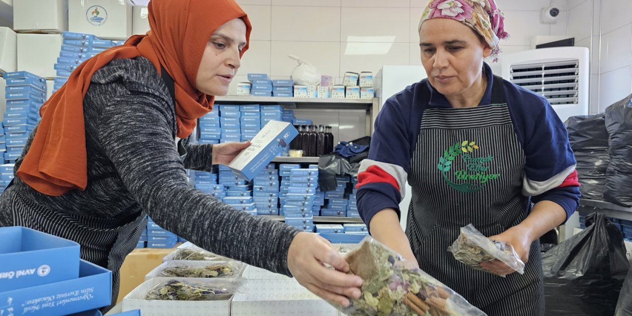 Pamukkale’de kadınların el emekleri kooperatif çatısında buluştu