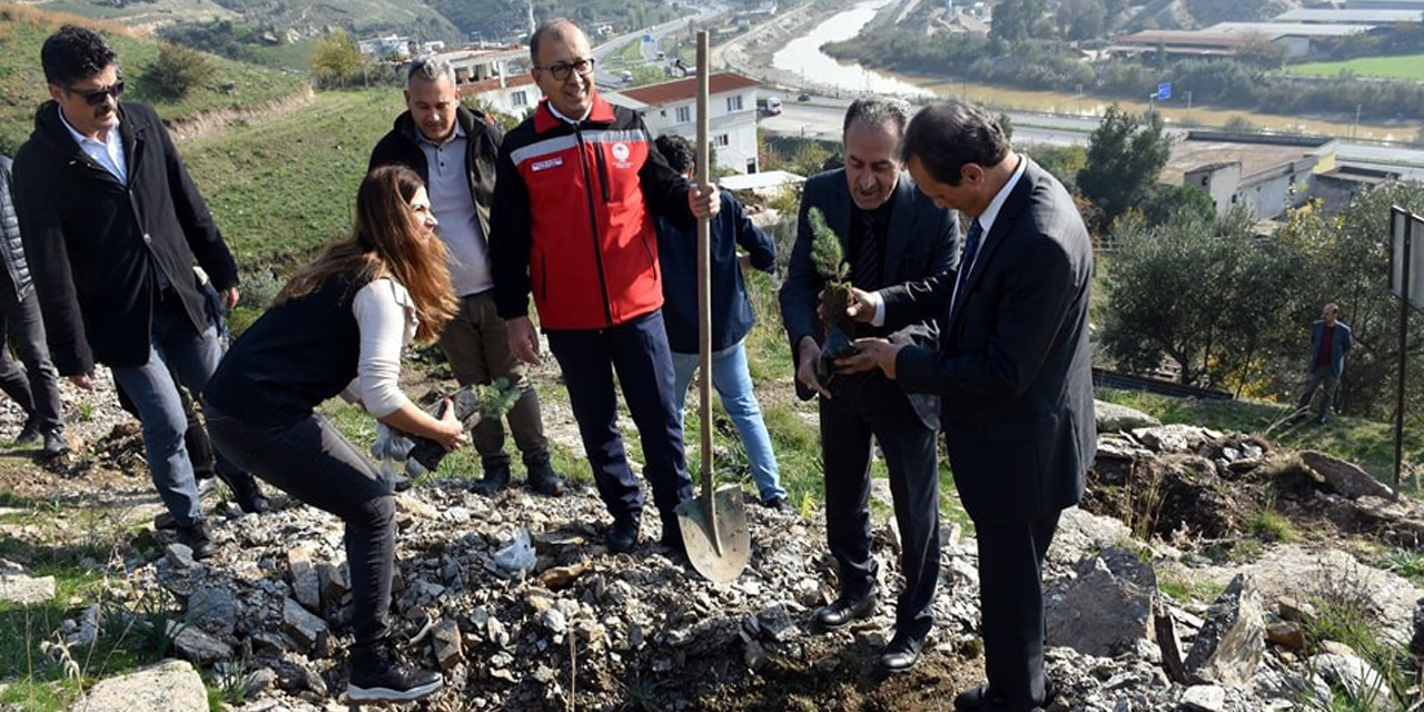 Aydın’da yürütülen proje kapsamında fıstık çamı ve akasya ağacı dikimi yapıldı