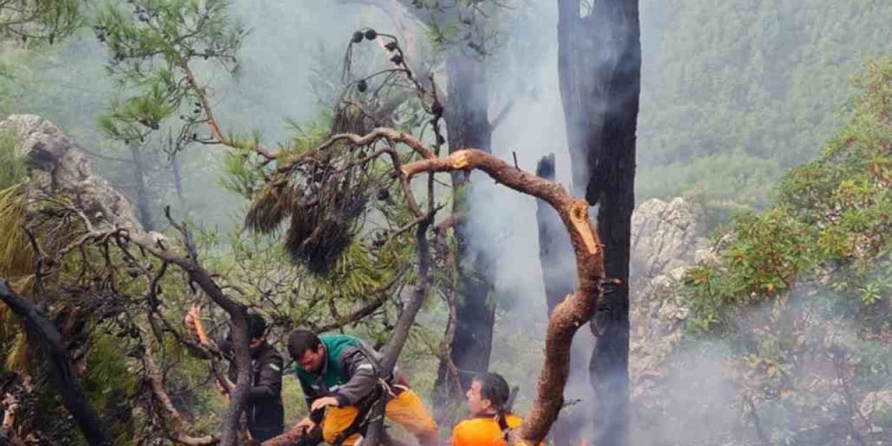 Muğla’da kış ortasında orman yangını