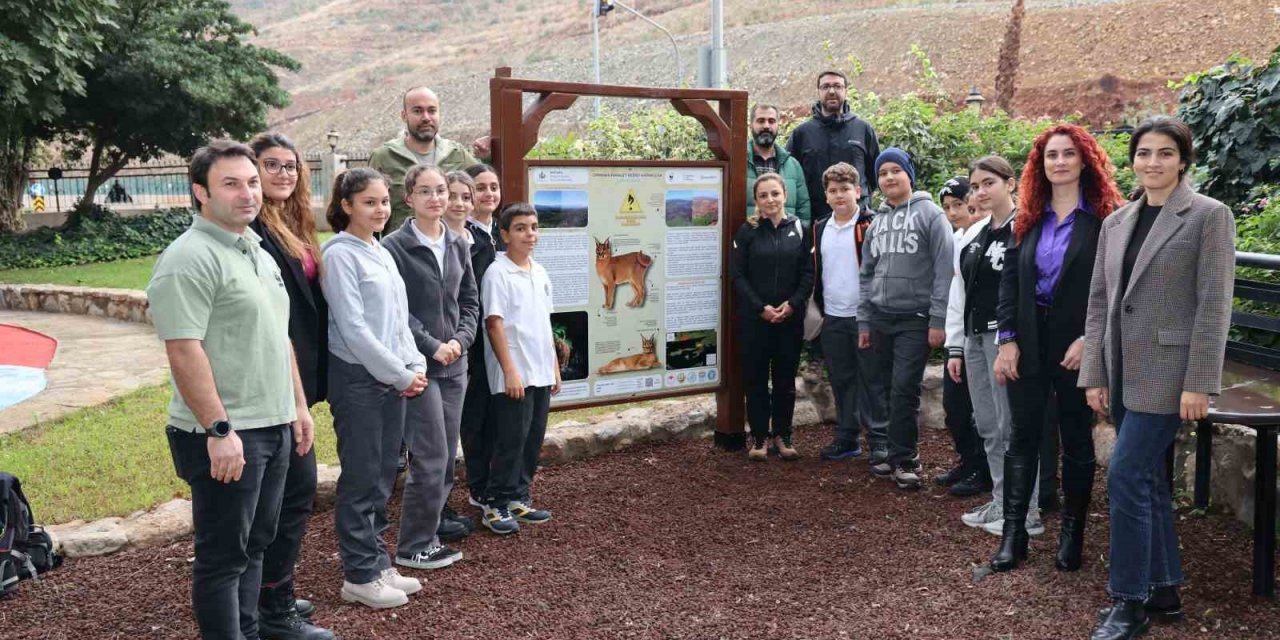Karakulaklar’ın canı yanmayacak