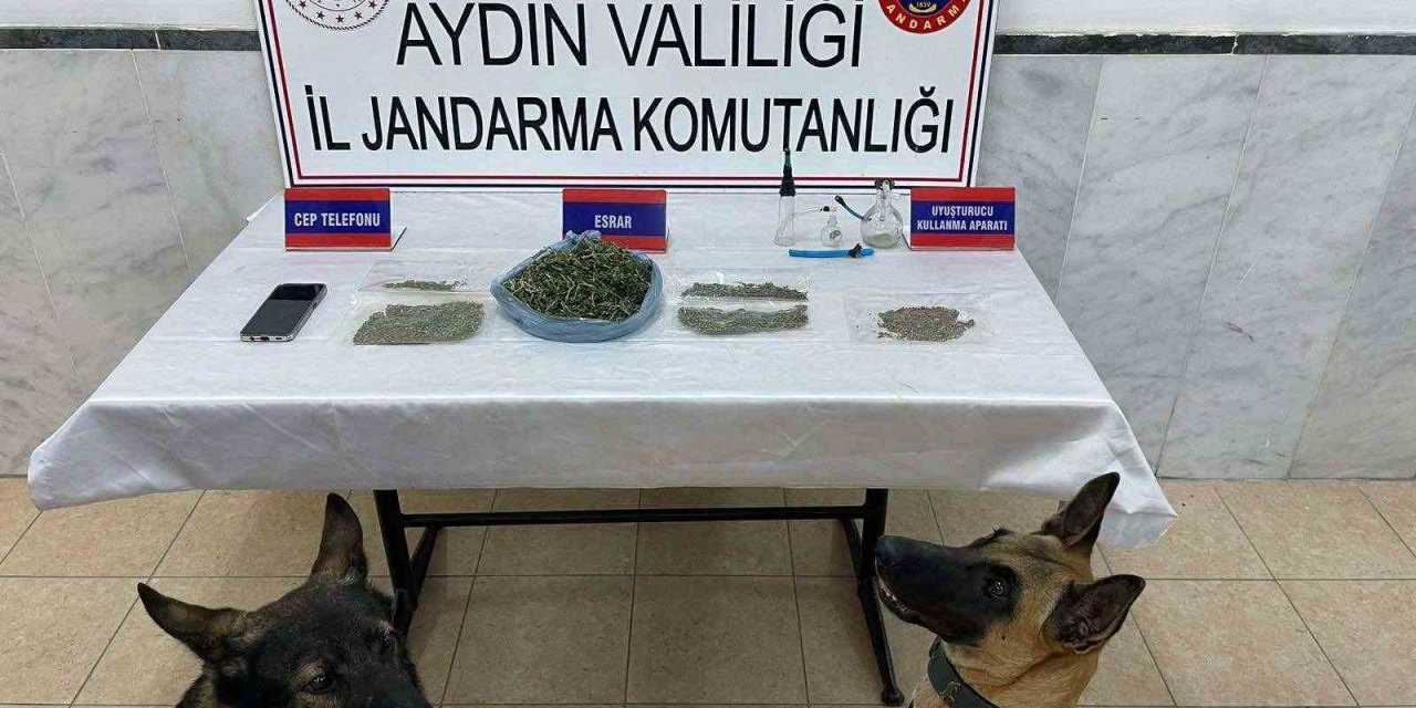 Jandarmadan uyuşturucu operasyonu: 22 yakalama