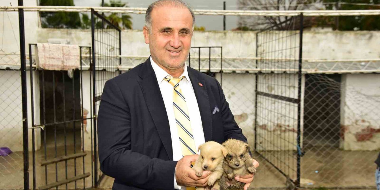 İncirliova’da sokak hayvanlarına sıcak yuva