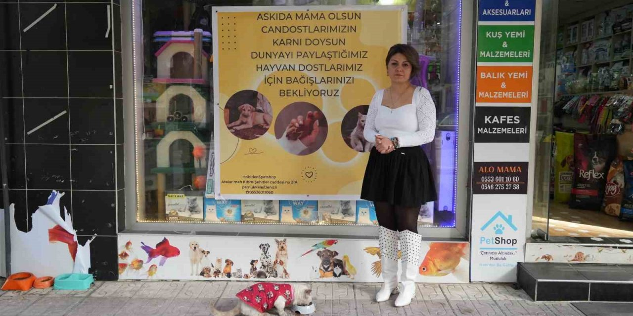 Sokak hayvanları için ’Askıda mama’ kampanyası