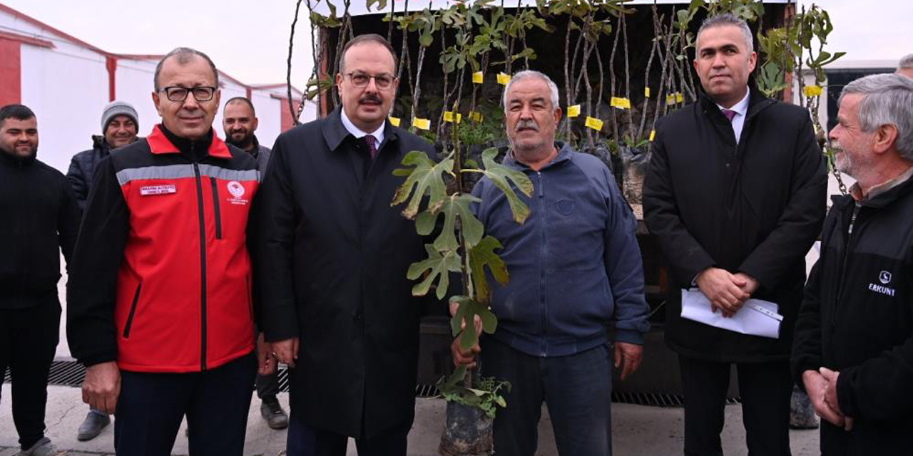 Aydın’da üreticilere 10 bin adet sarı lop incir fidanı dağıtıldı