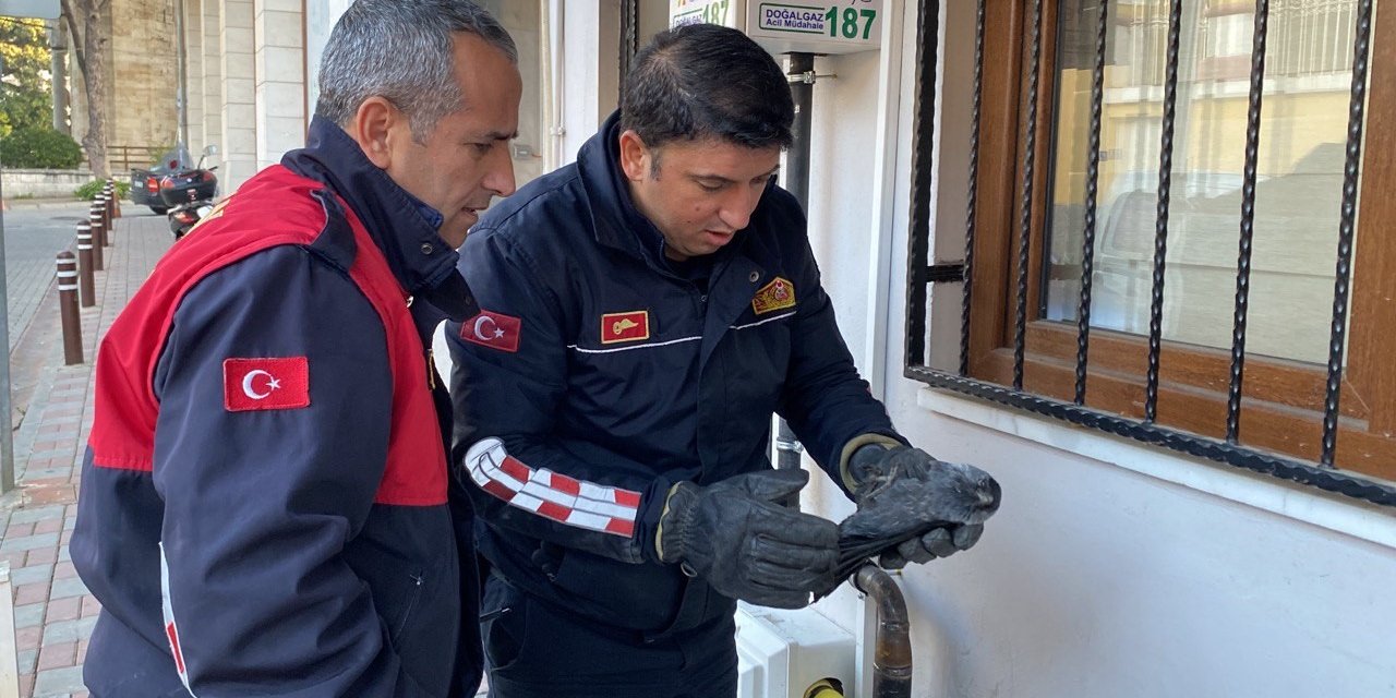 Kargayı emniyetten itfaiye kurtardı