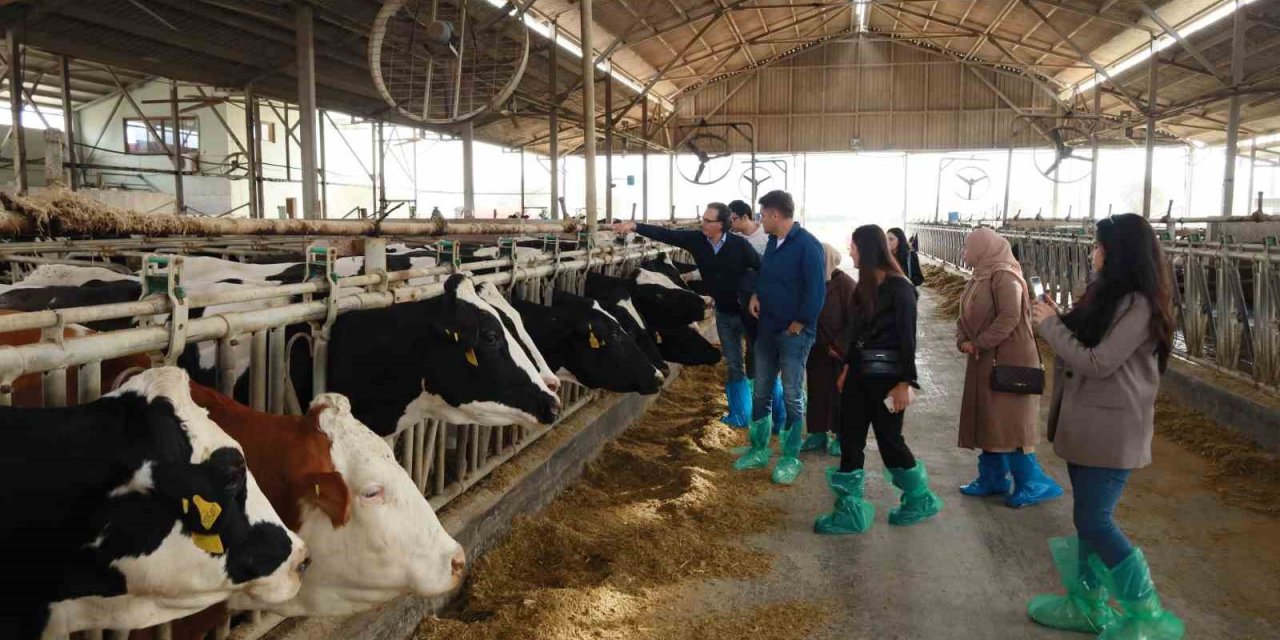 Ardahan’lı ‘Süte değer katan kadınlar’ Muğla’da