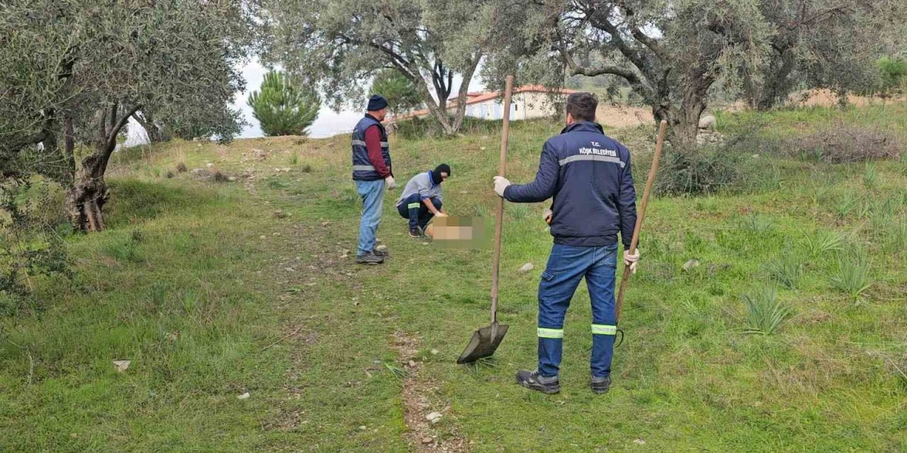 Böyle vahşet görülmedi