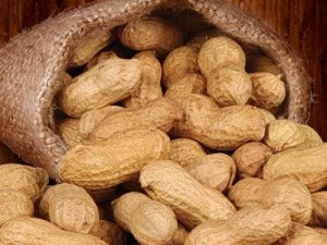 Yer Fıstığı Ani Ölüm Riskini Azaltıyor