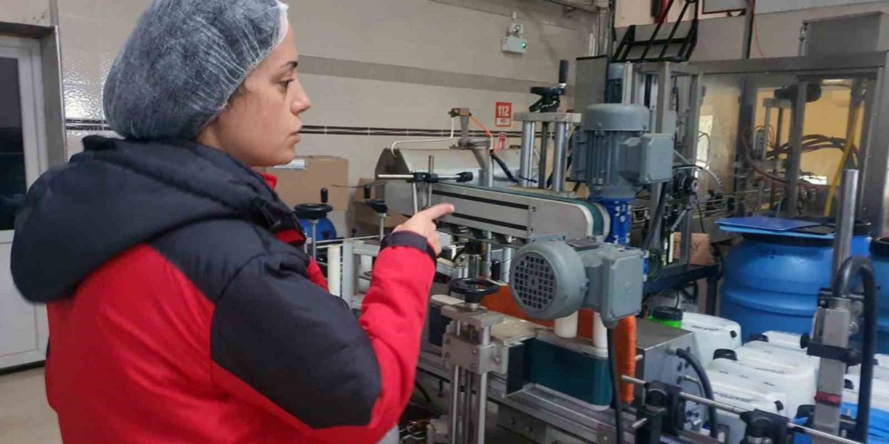 Muğla Tarım Müdürlüklerinden zeytin ve zeytinyağı denetimi