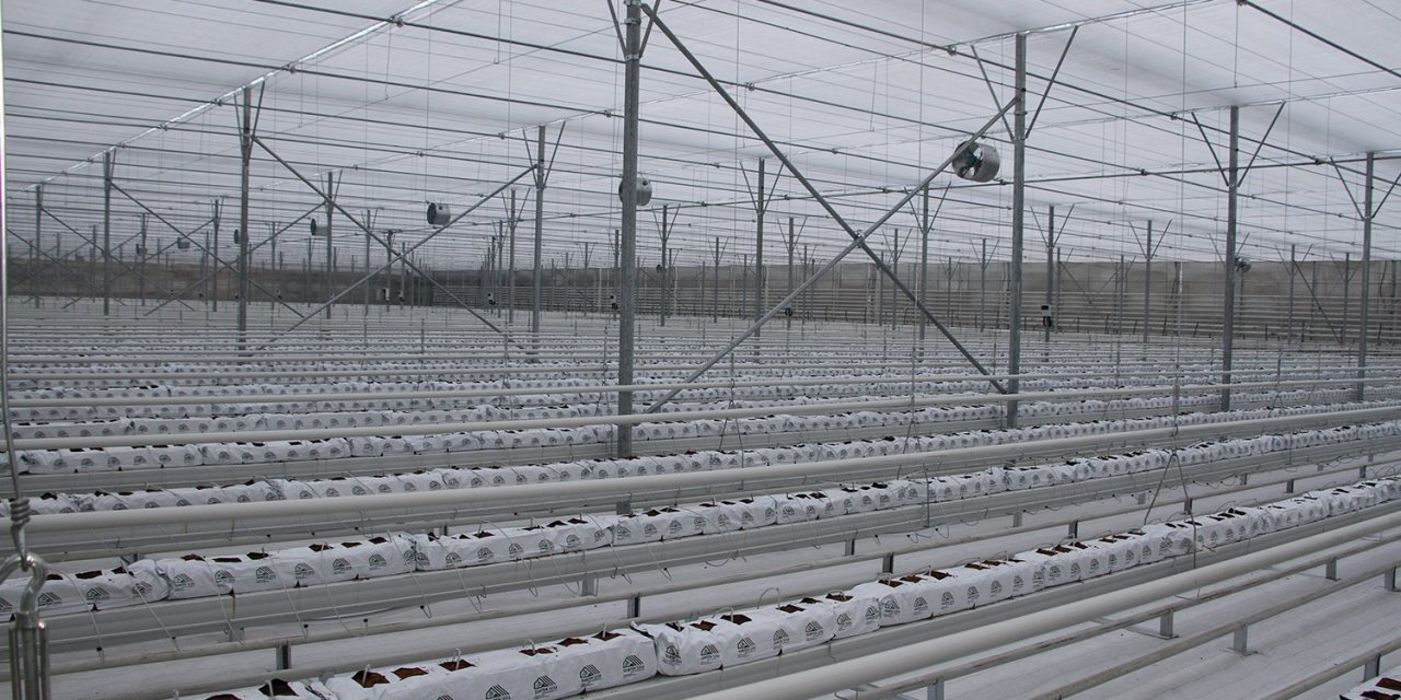 Eski Bakan Kasapoğlu memleketindeki yatırımları inceledi