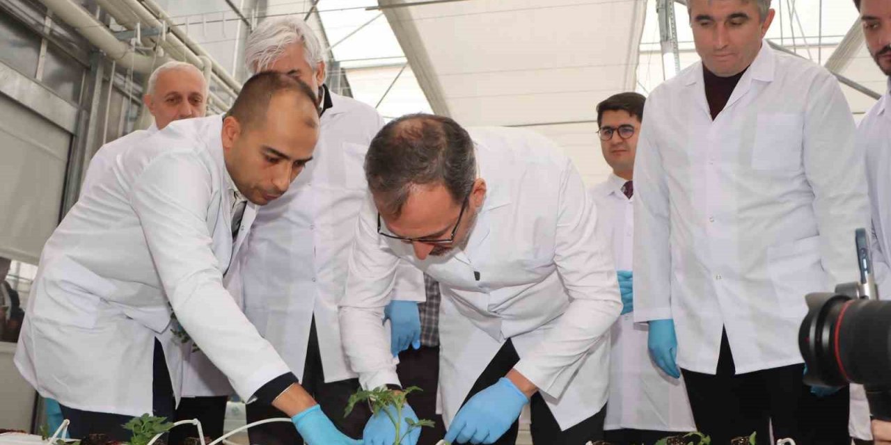 Jeotermal Kaynaklı Teknolojik Sera’da ilk fideler dikildi