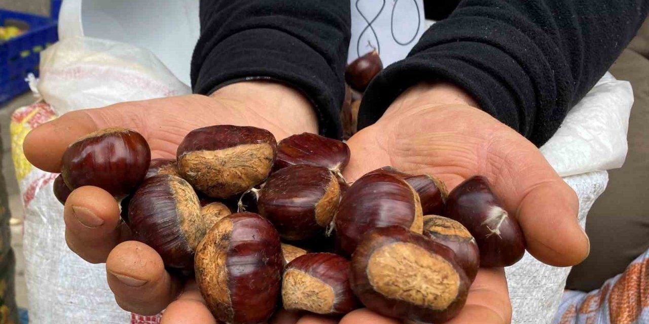 Kestanede rekolte düşük fiyatlar uygun