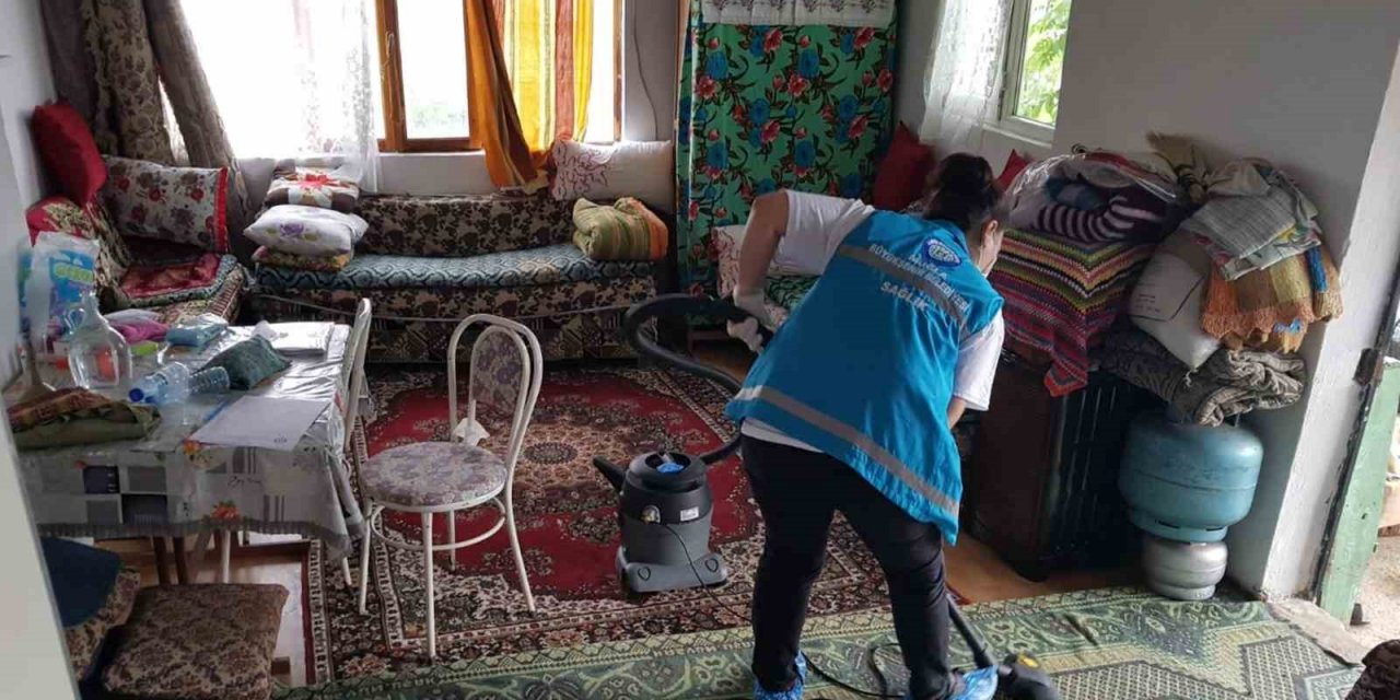 Kırsaldaki çınarlara yerinde hizmet