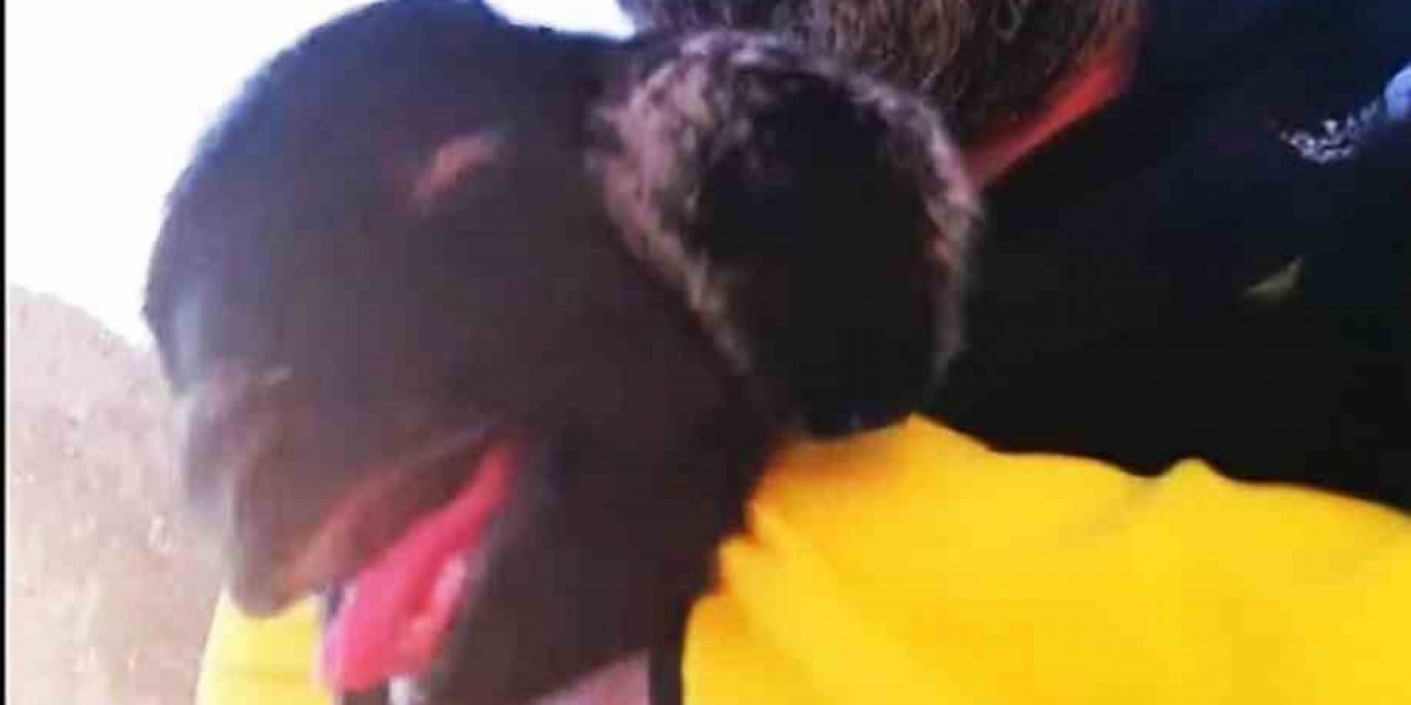 Keçi yavrusu ile kurtarıcısının güldüren diyaloğu