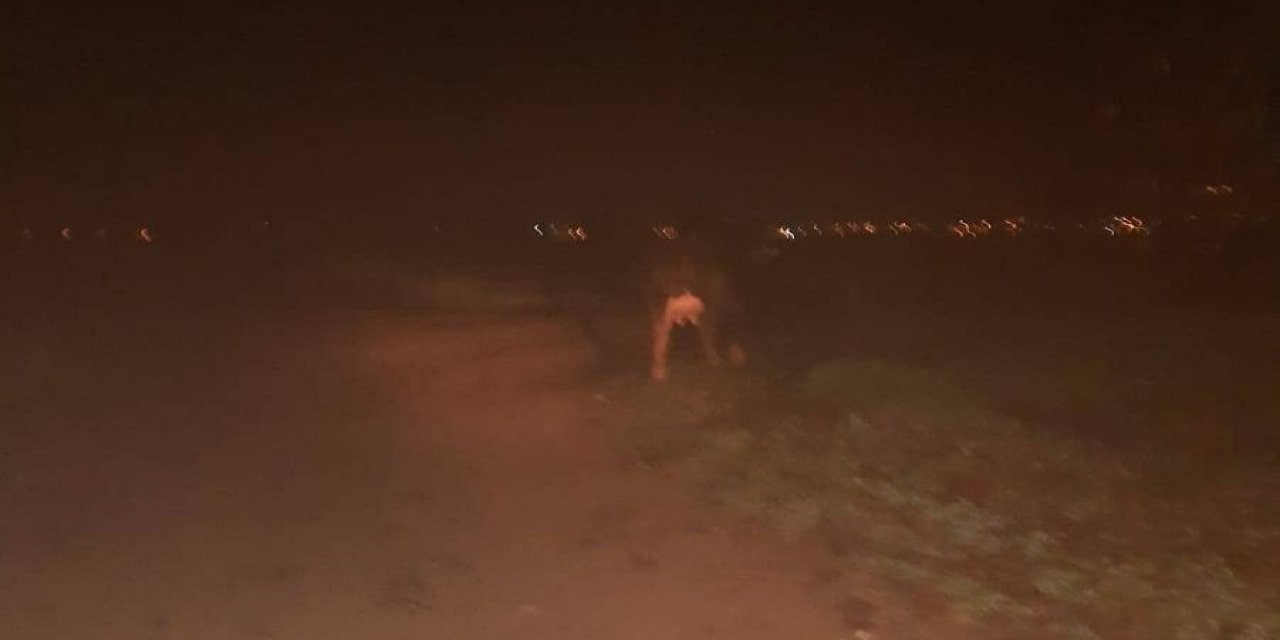 Jandarma kayıp hayvanı buldu