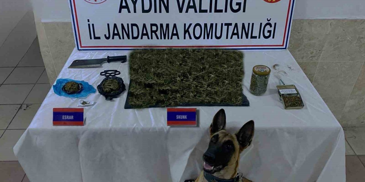Jandarmadan uyuşturucu operasyonu: 65 gözaltı
