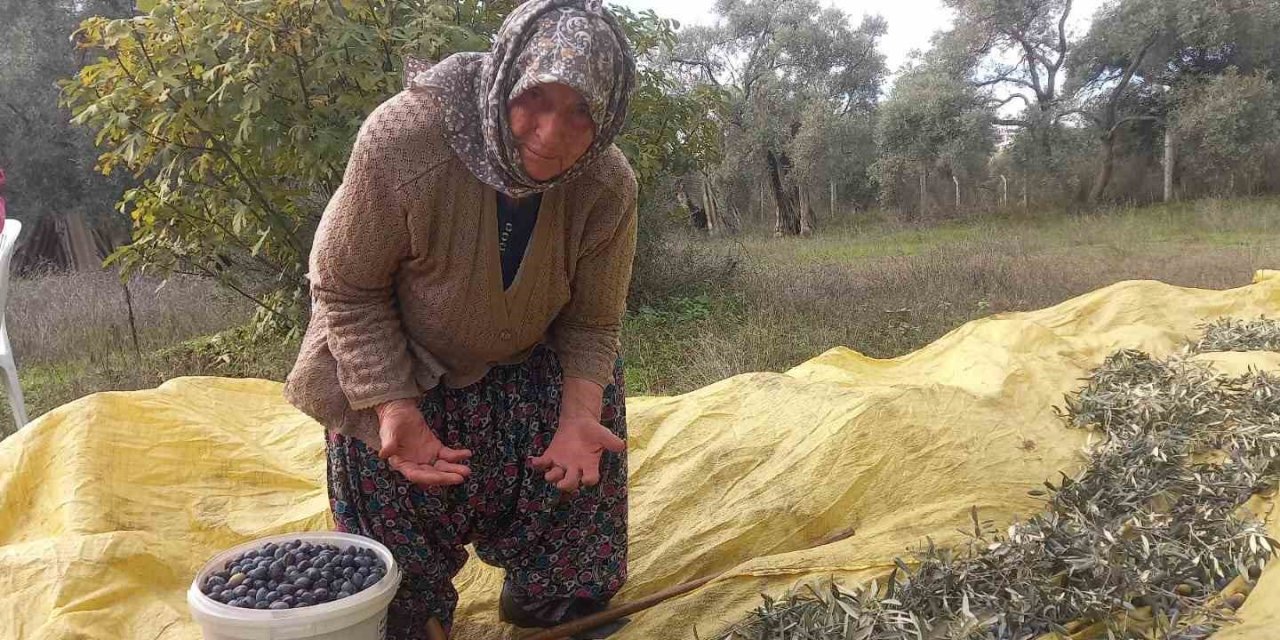 Adı üstünde eski toprak