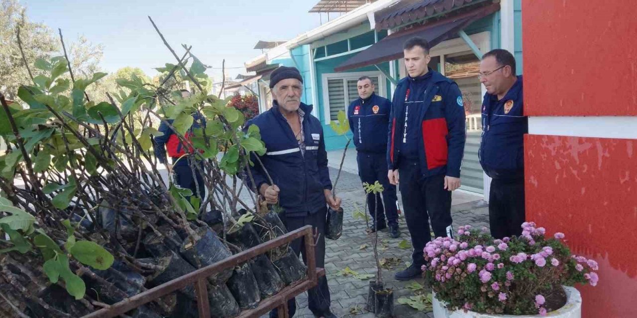 Manisalı üreticilere 116 bin 410 adet fidan desteği