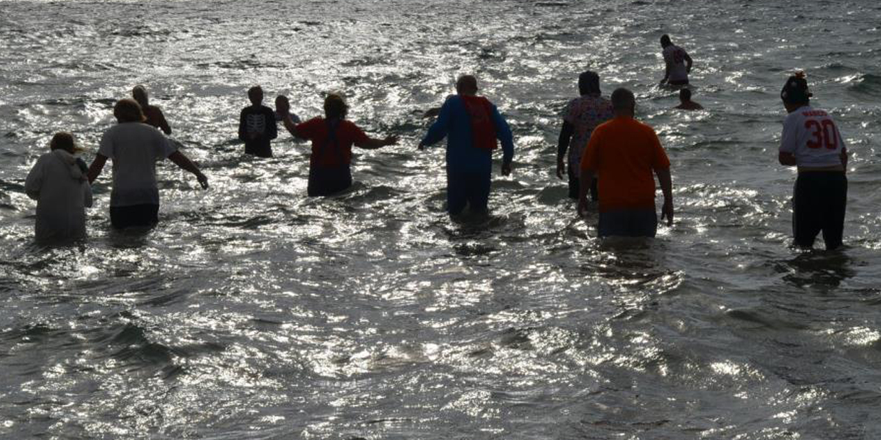 Sokak hayvanları için denize girdiler