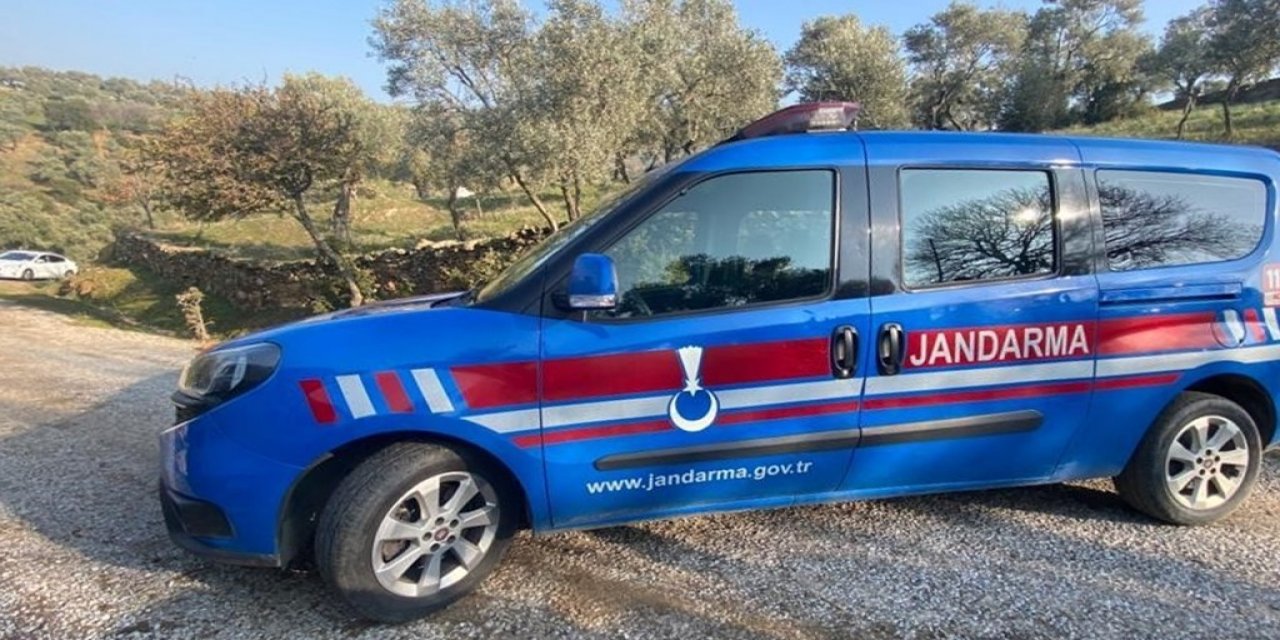 Çine’de zeytin hırsızı gözaltına alındı