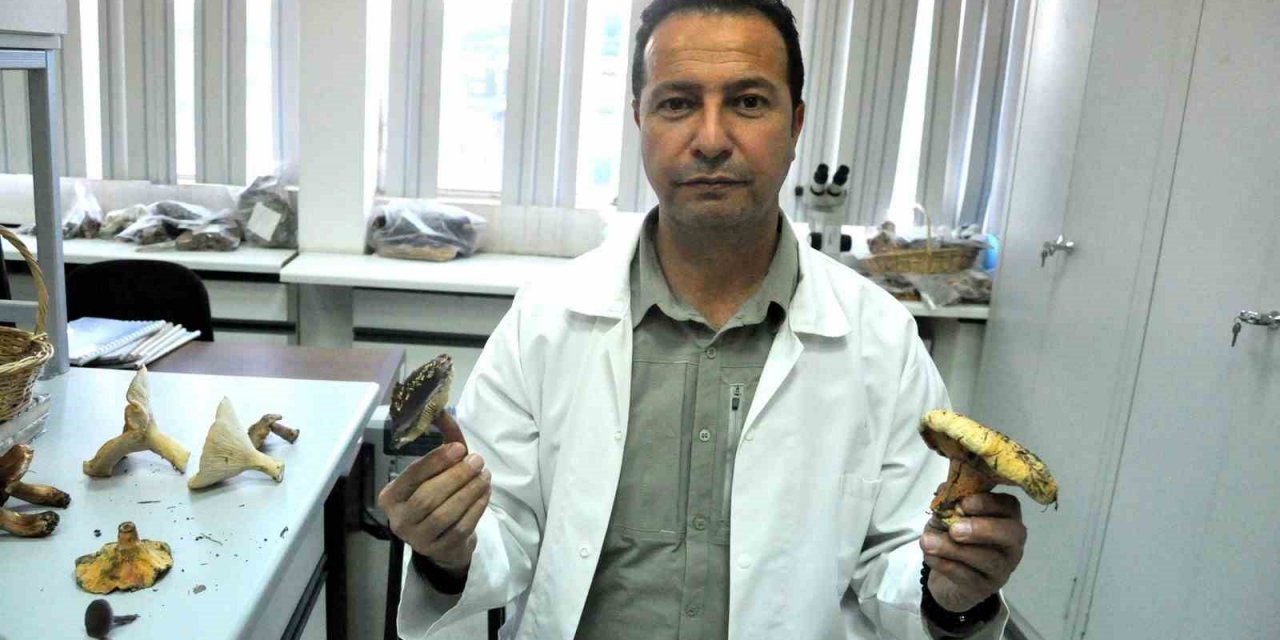 Muğla’da mantar bereketi yaşanırken, uzmanlar zehirlenmelere karşı uyardı