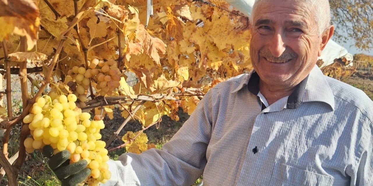 Yaz meyvesi üzümü yılbaşı akşamında tüketecek