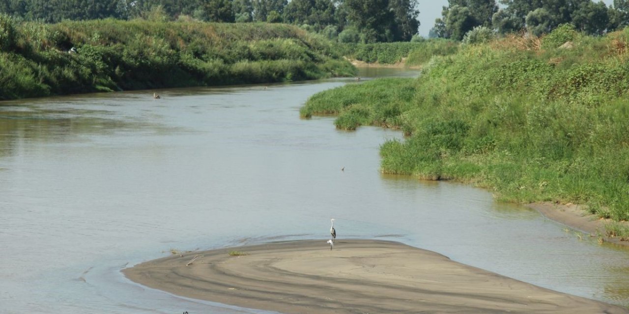 Doğa severlerden Menderes  Nehri’ni koruma çağrısı