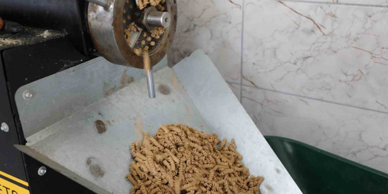 Büyükşehir can dostlar için mama üretiyor